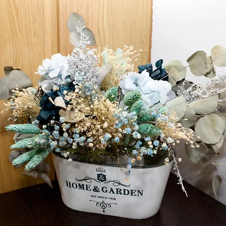 San Juan Apartmán Riaza