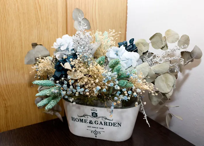 Apartment San Juan Riaza